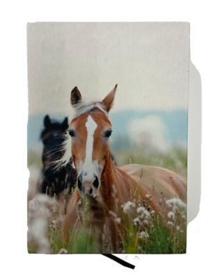 Bella Bug Horse Fabric Cover Journal