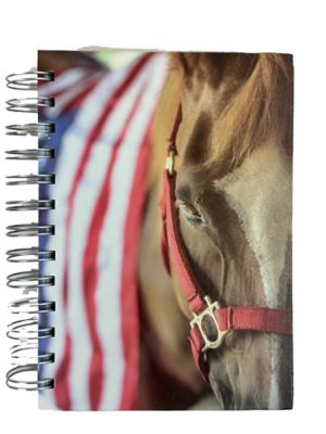Bella Bug American Horse Twin Wire Journal