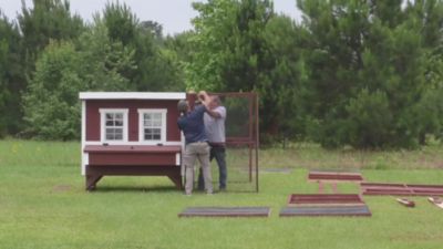 Image showing  8 ft. White Wooden Chicken Run