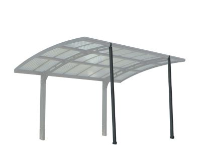 Canopia by Palram Arizona Carport Winter Support Kit