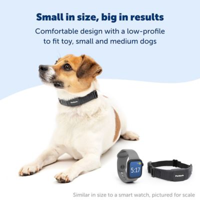 Image showing  NanoBark Collar for Medium Dogs with 6-13 in. Necks