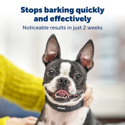 Image showing  NanoBark Collar for Medium Dogs with 6-13 in. Necks