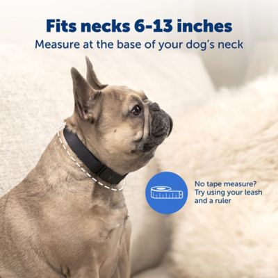Image showing  NanoBark Collar for Medium Dogs with 6-13 in. Necks