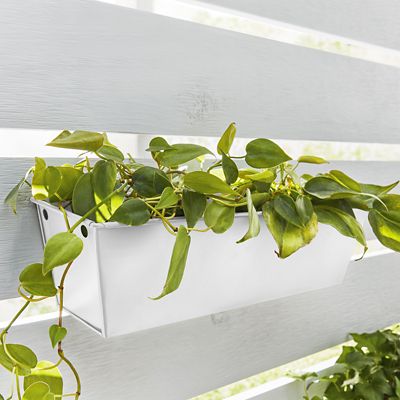 Image showing  12 oz. Fusion All-In-One Spray Paint, Matte