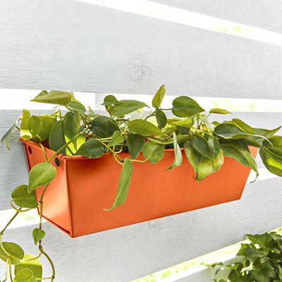 Image showing  12 oz. Fusion All-In-One Spray Paint, Gloss