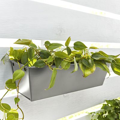 Image showing  12 oz. Fusion All-In-One Spray Paint, Gloss