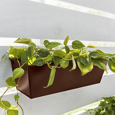 Image showing  12 oz. Fusion All-In-One Spray Paint, Satin