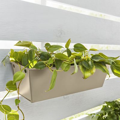 Image showing  12 oz. Fusion All-In-One Spray Paint, Satin