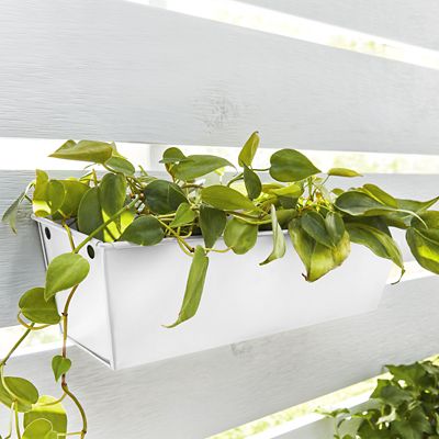 Image showing  12 oz. Fusion All-In-One Spray Paint, Satin