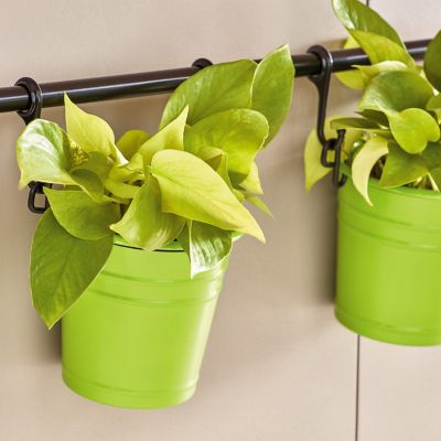 Image showing  12 oz. Fusion All-In-One Spray Paint, Gloss