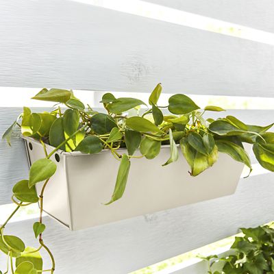 Image showing  12 oz. Fusion All-In-One Spray Paint, Matte