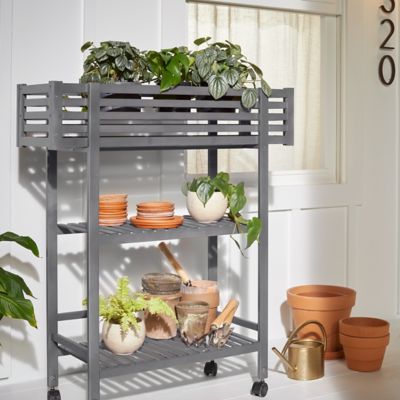 Image showing 5 th Krylon 12 oz. Fusion All-In-One Spray Paint, Matte