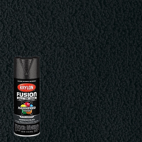 Krylon 12 oz. Fusion All-In-One Spray Paint, Hammered