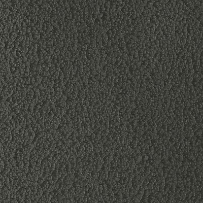 Image showing  12 oz. Fusion All-In-One Spray Paint, Hammered