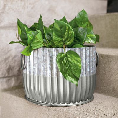 Image showing  12 oz. Fusion All-In-One Spray Paint, Metallic