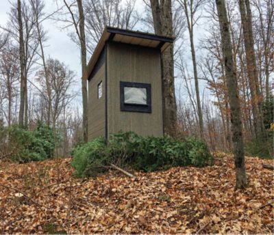 Image showing  Camo Cover, 4.5 x 12 ft., Green