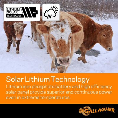 Image showing  0.3-Joule S30 Lithium Solar-Powered Electric Fence Charger
