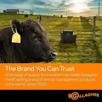 Image showing 5 th Gallagher 0.3-Joule S30 Lithium Solar-Powered Electric Fence Charger