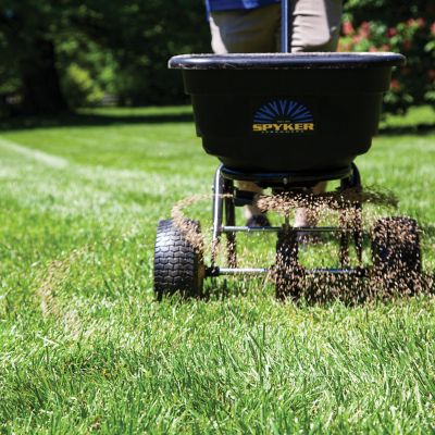 Image showing 9 th Spyker 50 lb. Capacity Pro-Series Commercial Push Spreader