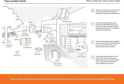 Image showing  Smart Humane Mouse Trap Kit