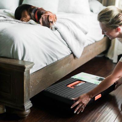 Image showing 7 th Mirapet 1-Door Premium Collapsible Pet Carrier and Crate with Ventilation and Hard Plastic Wall Protection, Medium, 22 in.