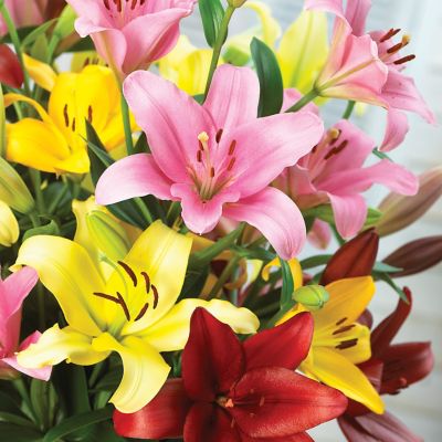 Lily Artificial Flower 88cm Lily single stem GS-64922008 - Silk