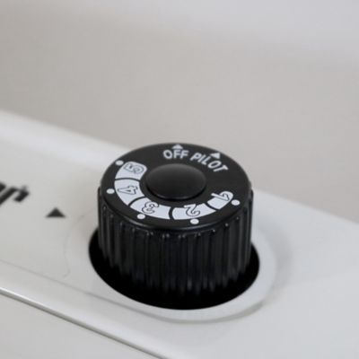 Image showing  Vent Free 20,000 BTU Radiant Natural Gas Heater