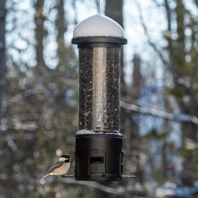 Image showing  Choice Tube Bird Feeder, 3.1 qt. Capacity