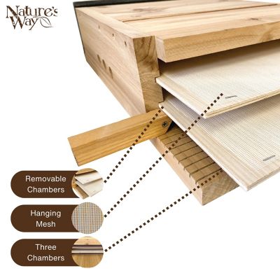 Image showing  Cedar Bat House Triple Chamber