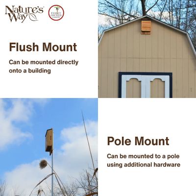 Image showing  Cedar Bat House Triple Chamber