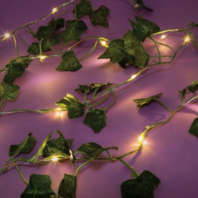 Image showing  Photo Collage & Ivy Fairy Lights