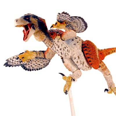 Image showing  Dromaeosaurus Albertensis 2nd Release