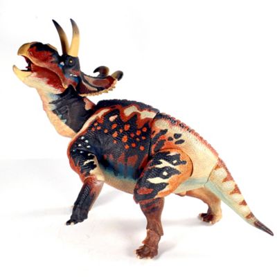 Image showing  Albertaceratops Nesmoi Dinosaur
