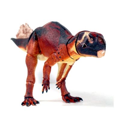Image showing  Psittacosaurus Mongoliensis Dinosaur