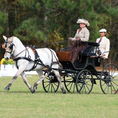 Image showing  The Traditional Series Sweetwater Zorah Bell Zoobie Toy