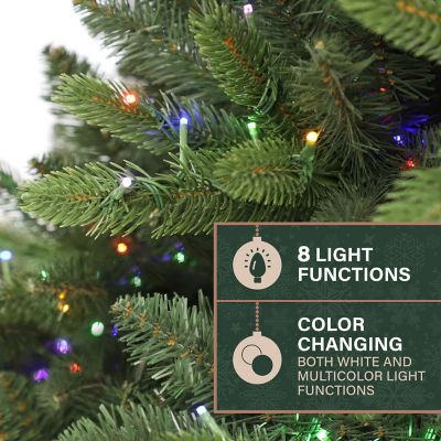 Image showing  12ft. York Pine Artificial Christmas Tree, Memory Wire Branches & Dual Multicolor & Warm White 3MM LED Lights