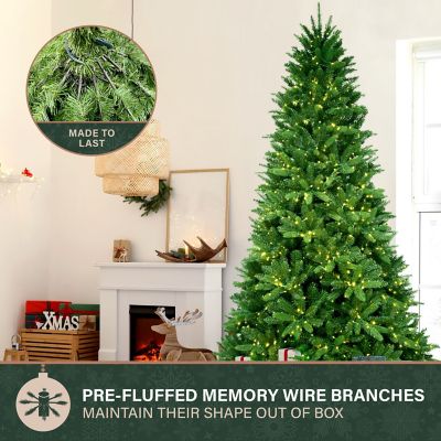 Image showing 6 th Fraser Hill Farm 12ft. York Pine Artificial Christmas Tree, Memory Wire Branches & Dual Multicolor & Warm White 3MM LED Lights