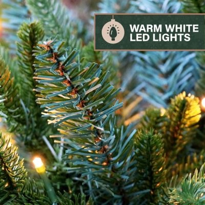 Image showing  Prelit 18 in. Artificial Sidewalk Trees with Warm White LED Lights, Set of 3