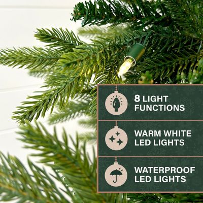 Image showing  8-ft. Wintergreen Fir Artificial Christmas Tree with Warm White LED Lights