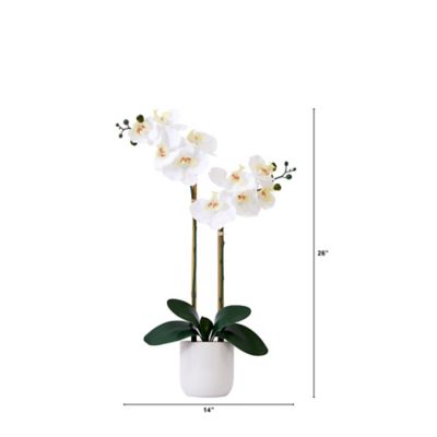 Image showing  26 in. Real Touch Artificial Double Orchid Phalaenopsis with Decorative Vase