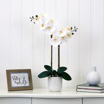 Image showing  26 in. Real Touch Artificial Double Orchid Phalaenopsis with Decorative Vase