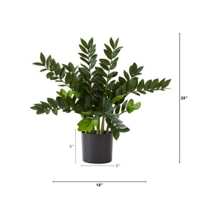 Image showing  28 in. Artificial Zamioculcas Plant with Decorative Planter