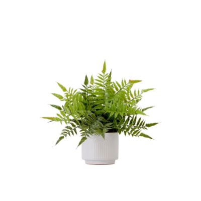 Nearly Natural 13 in. Artificial Boston Fern Plant in Decorative Planter