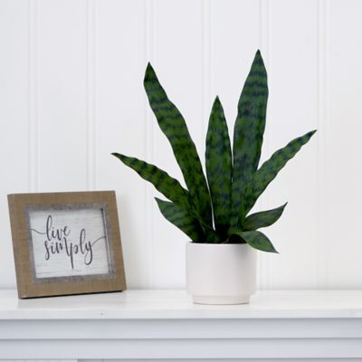 Image showing  16 in. Artificial Sansevieria Snake Plant in Decorative Planter