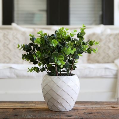 Image showing  11 in. Artificial Boxwood Plant in Decorative Planter