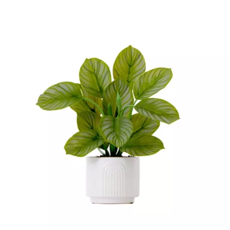 Nearly Natural 12" Artificial Calathea Plant in Decorative Pot Artificial Plants & Flowers