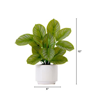 Image showing  12 in. Artificial Calathea Plant in Decorative Planter
