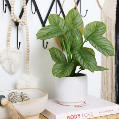 Image showing  12 in. Artificial Calathea Plant in Decorative Planter