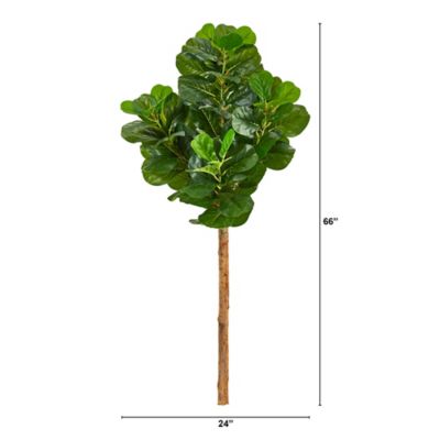 Image showing  5.5 ft. Artificial Fiddle Leaf Tree