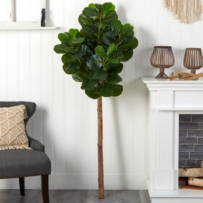 Image showing  5.5 ft. Artificial Fiddle Leaf Tree